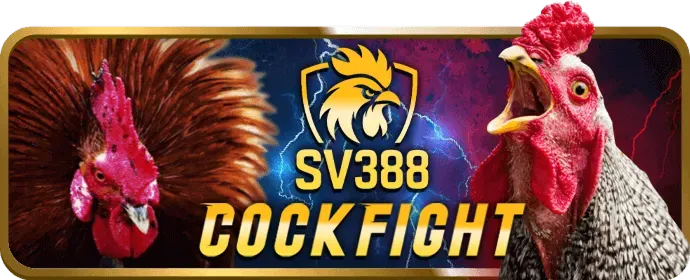 Đội ngũ hỗ trợ khách hàng chuyên nghiệp của vi88 bet